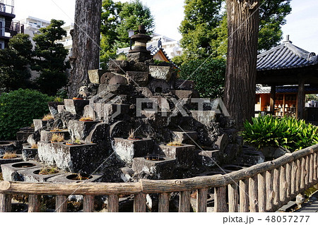 2月 中野坂上15(中野そば粉)石臼塚・宝仙寺境内 2月 中野坂上15(中野そば粉)石臼塚・宝仙寺境内 48057277