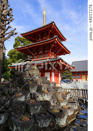 2月　中野坂上14三重塔と(中野そば粉)石臼塚･宝仙寺 48057278