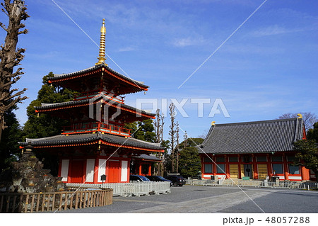 2月　中野坂上04三重塔と本堂・宝仙寺 48057288