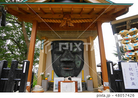 2月 上野78上野大仏(パゴダ)・寛永寺 2月 上野78上野大仏(パゴダ)・寛永寺 48057426