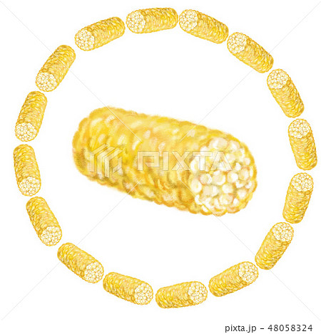 五家宝 五家宝 48058324