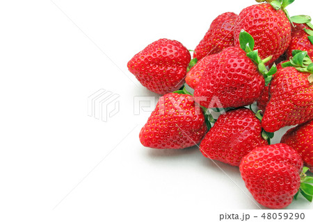 いちご 48059290