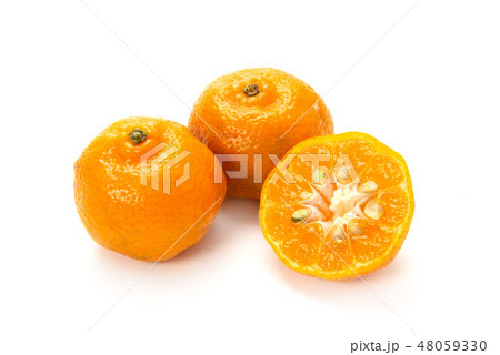 半分にカットしたフルーツシークワーサー 48059330