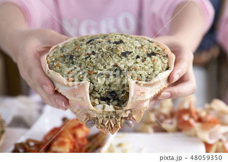 チャーハン 束草市 江原道 48059350