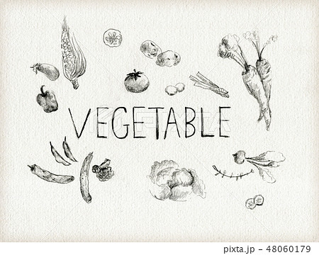 鉛筆で描いた野菜のラフスケッチのイラスト素材