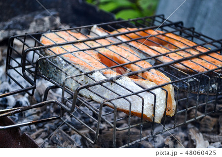 Grilled salmon steak. Grate, coals, smoke 48060425