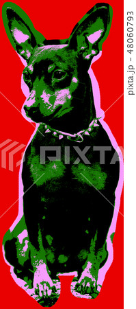 Poster with portrait of a miniature pinscher dog 48060793