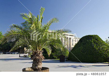 Picture of city center of Ruse in Bulgaria Picture of city center of Ruse in Bulgaria 48061057
