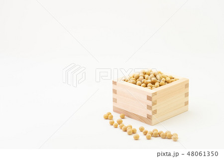 大豆　一合升 48061350