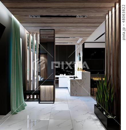 stylish modern interior of the house, apartment 48063622