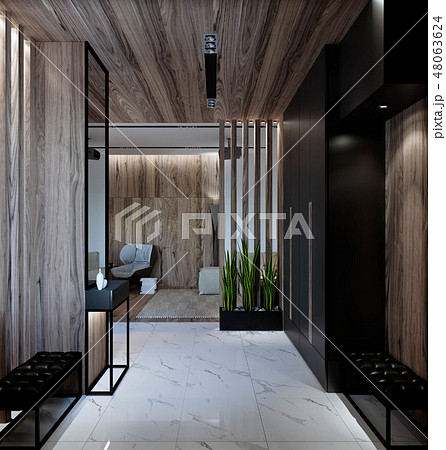 stylish modern interior of the house, apartment 48063624