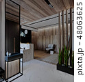 stylish modern interior of the house, apartment 48063625