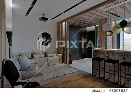 stylish modern interior of the house, apartment 48063627