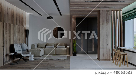 stylish modern interior of the house, apartment 48063632