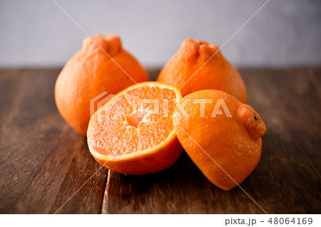 デコポン⑦ 48064169