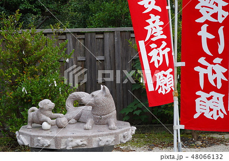 犬の石像 犬の石像 48066132