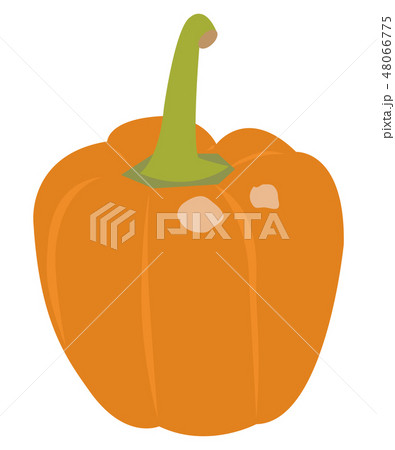 パプリカ 48066775