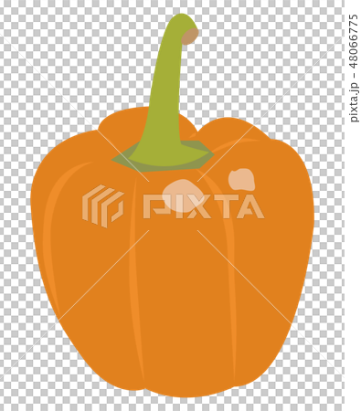 パプリカ 48066775