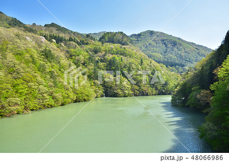 福島 JR只見線から見た新緑の只見川 福島 JR只見線から見た新緑の只見川 48066986