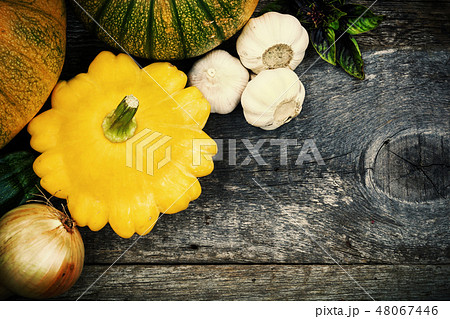 Harvest of seasonal vegetables 48067446