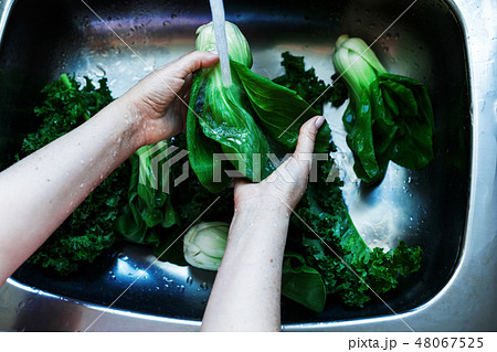 Washing fresh green kale leaves closeup Washing fresh green kale leaves closeup 48067525
