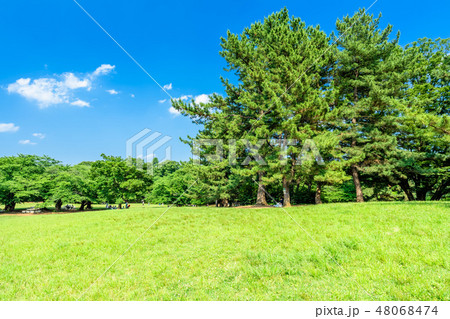 東京 光が丘公園の風景 東京 光が丘公園の風景 48068474