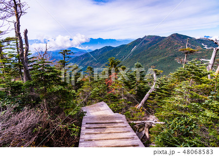 【山梨県】国師ヶ岳　夢の庭園　秋 48068583