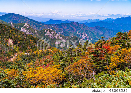 【山梨県】国師ヶ岳 夢の庭園 秋 【山梨県】国師ヶ岳 夢の庭園 秋 48068585