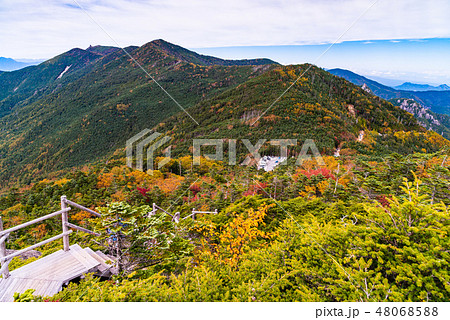 【山梨県】国師ヶ岳　夢の庭園　秋 48068588