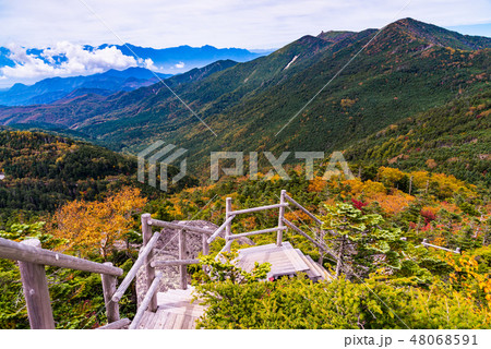 【山梨県】国師ヶ岳 夢の庭園 秋 【山梨県】国師ヶ岳 夢の庭園 秋 48068591