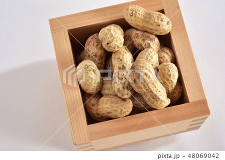 国産　落花生 48069042