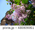 ドレスデン　城 48069061