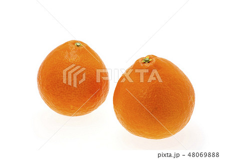 紅まどんな 48069888