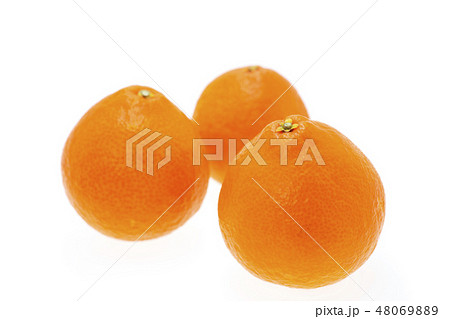 紅まどんな 紅まどんな 48069889