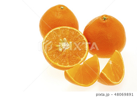 紅まどんな 48069891