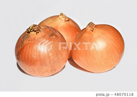 玉ネギ（北見黄） 48070118