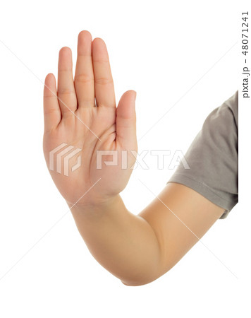 Human hand isolate on white background 48071241