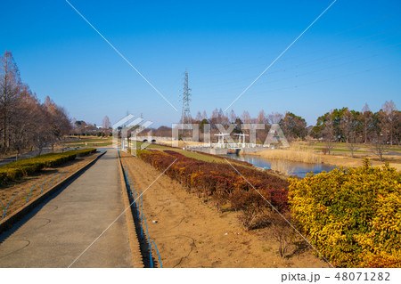 大宮花の丘農林公苑　冬景色 48071282