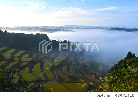 棚田の霧模様と雲海 棚田の霧模様と雲海 48071419