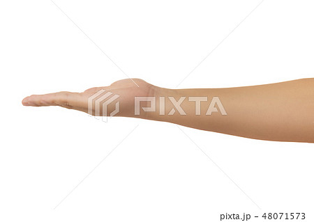 Human hand isolate on white background 48071573