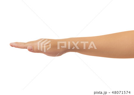 Human hand isolate on white background 48071574