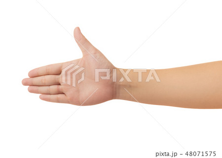Human hand isolate on white background 48071575