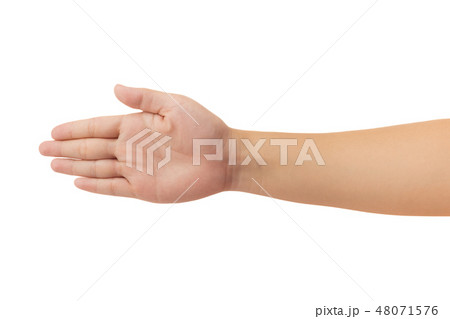 Human hand isolate on white background. 48071576