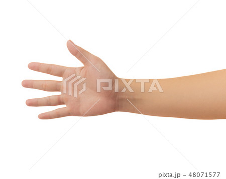 Human hand isolate on white background 48071577