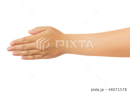 Human hand isolate on white background 48071578