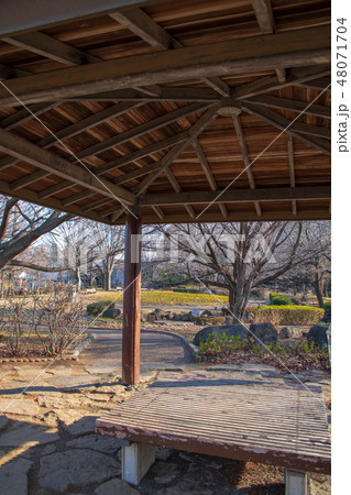 大宮花の丘農林公苑 花壇 冬景色 大宮花の丘農林公苑 花壇 冬景色 48071704