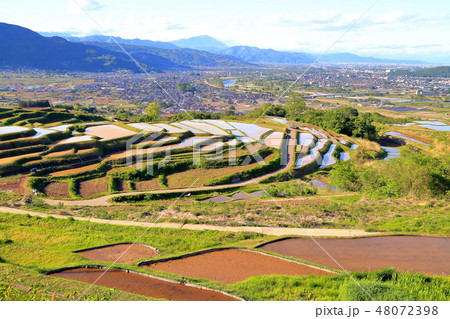 長野県千曲市の姨捨棚田 48072398