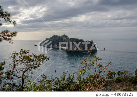 西伊豆町堂ヶ島の象島 48073225