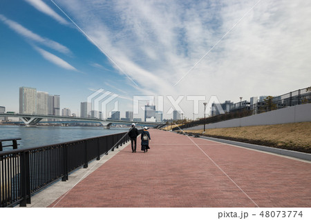 豊洲の景色 48073774