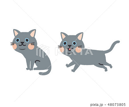 猫 セット 猫 セット 48073805